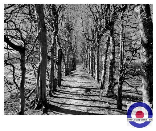 Serie - WECHSELBURG22 - 13. Maerz 2022 (2).JPG